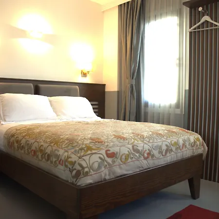 מלון Ayasoluk & Restaurant 2*