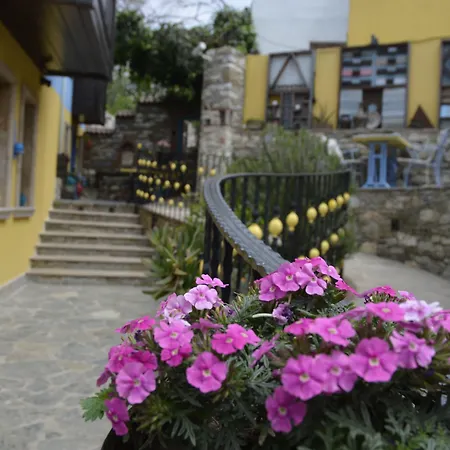 Ayasoluk & Restaurant 2* סלצ'וק