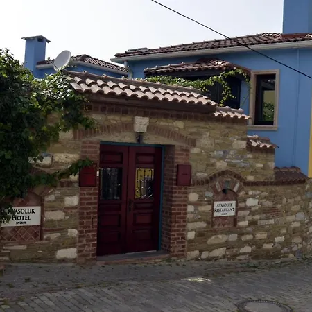 فندق Ayasoluk & Restaurant 2*