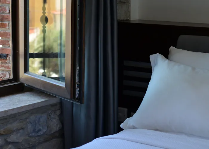 Ayasoluk & Restaurant 2*