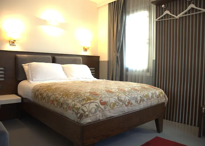 Hotell Ayasoluk & Restaurant 2*