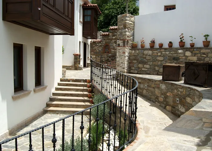 Ayasoluk & Restaurant 2* Сельчук