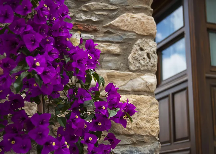 Ayasoluk & Restaurant Hotell