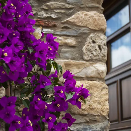 Ayasoluk & Restaurant Hotel