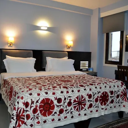 Hotel Ayasoluk Hotel & Restaurant 2*