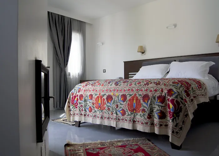 Ayasoluk & Restaurant ホテル 2*