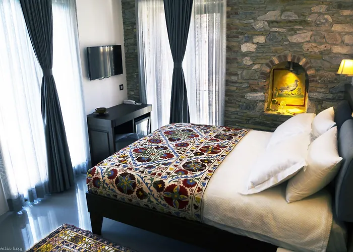 Ayasoluk & Restaurant 2*