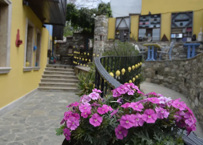 Ayasoluk & Restaurant 2* Selçuk